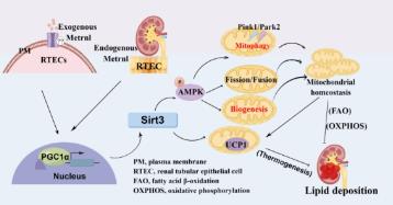 1688000585208876.jpg 360截图20230629090313281.jpg