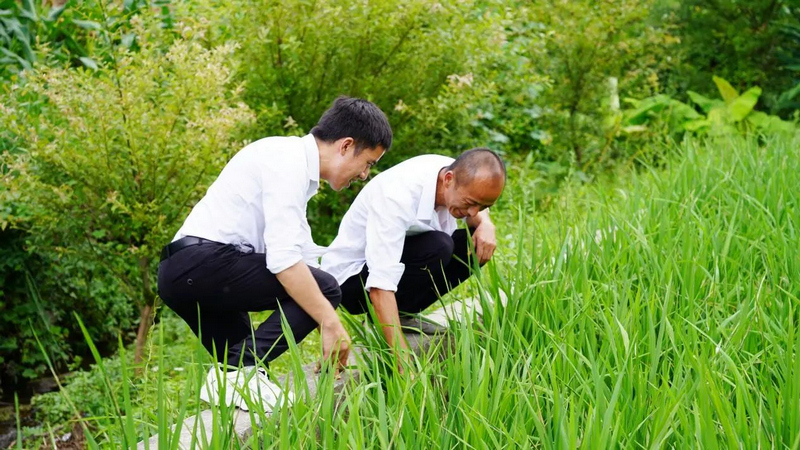 实践团队深入田间地头开展调研。太阳成集团tyc33455cc官网供图